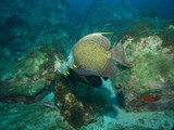 Pousada em Fernando de Noronha